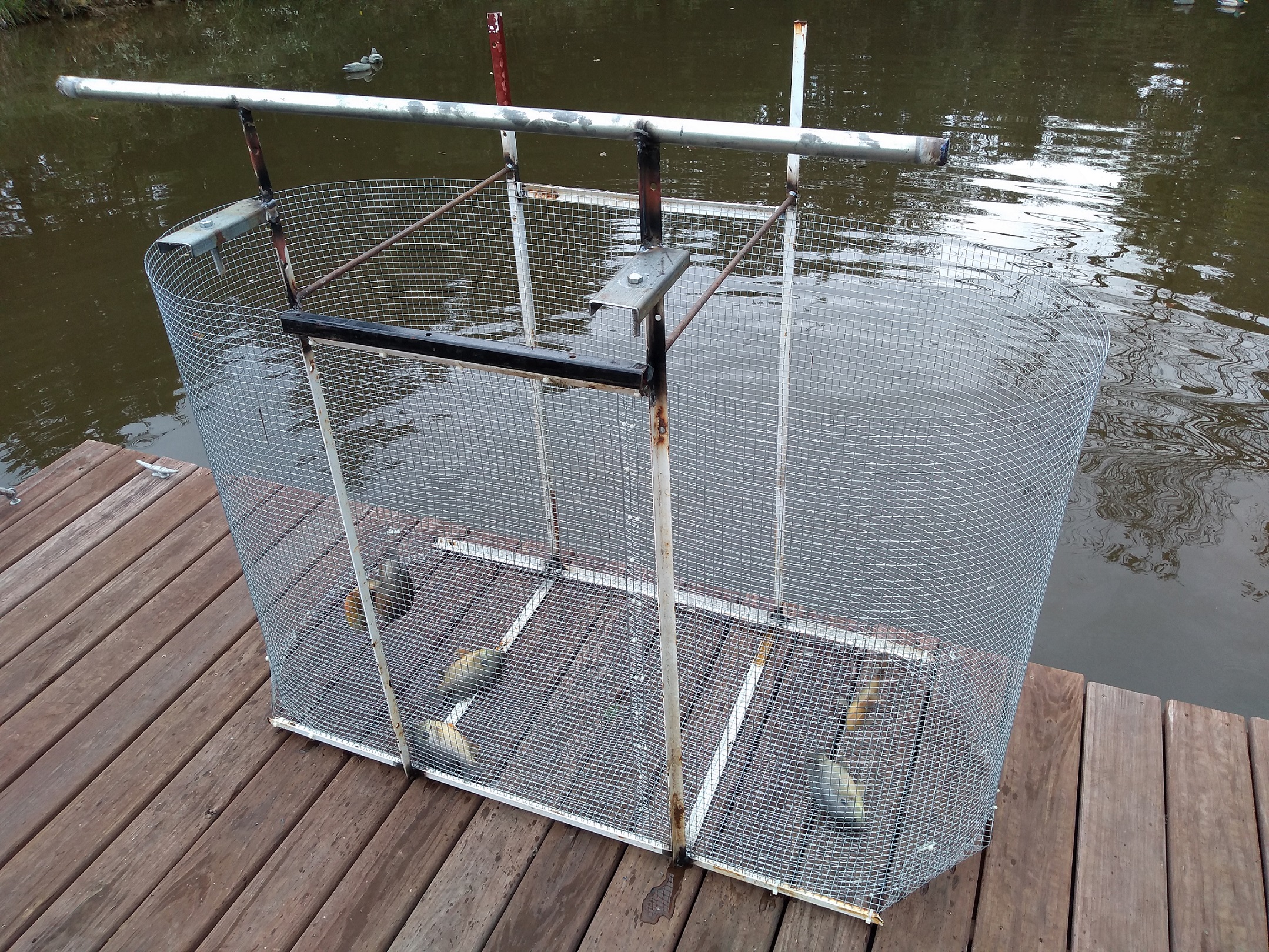 Attached picture Cage out of pond.jpg